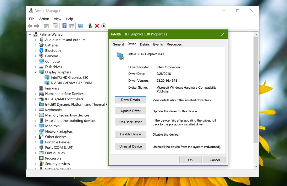 install display driver windows 10 install display driver windows 10