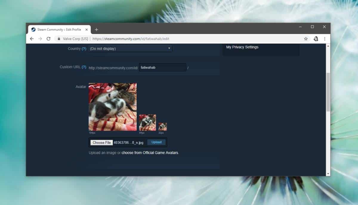 The Perfect Steam Profile Picture Size  Best Practices