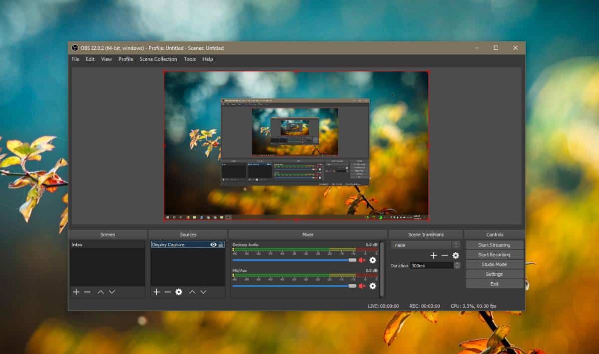 How to fix black screen in OBS when recording display on Windows 10