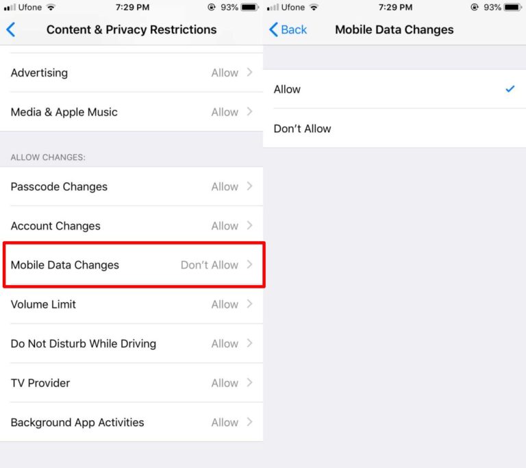 How to fix iPhone settings switch greyed out