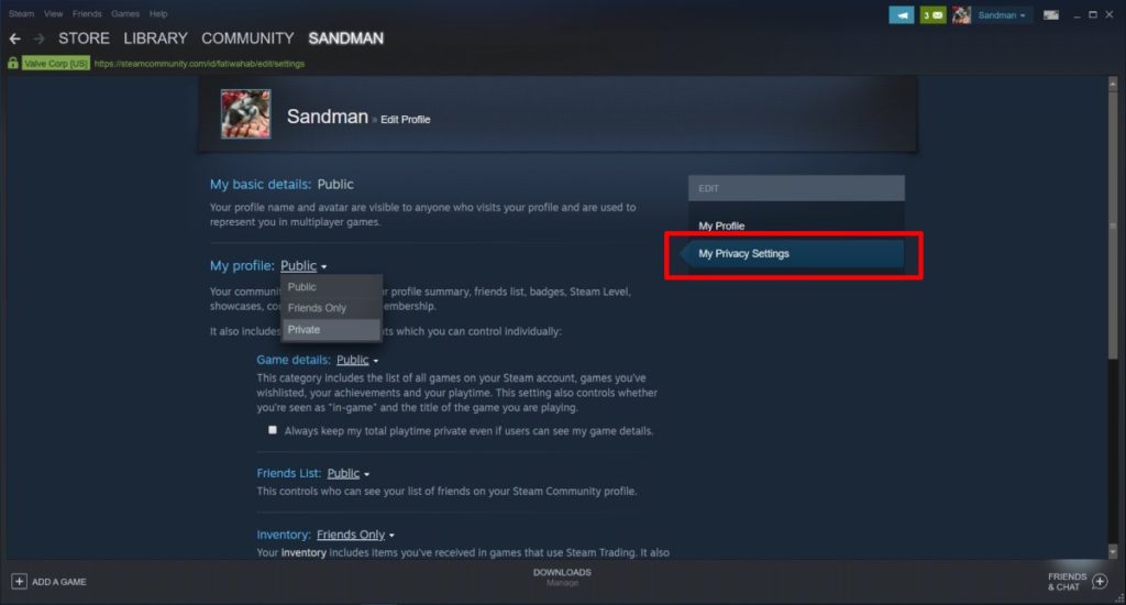 How to hide your activity on steam