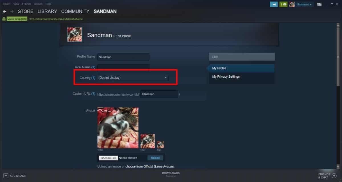 How to hide your activity on Steam