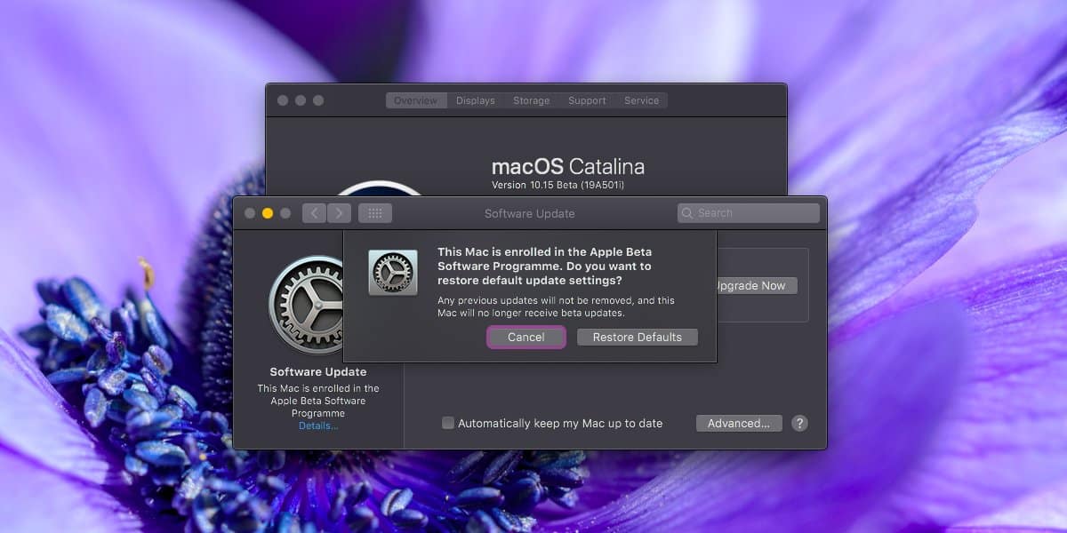 Macos beta. Макос Каталина. Mac os версии. Beta версия. Версии Mac os по порядку