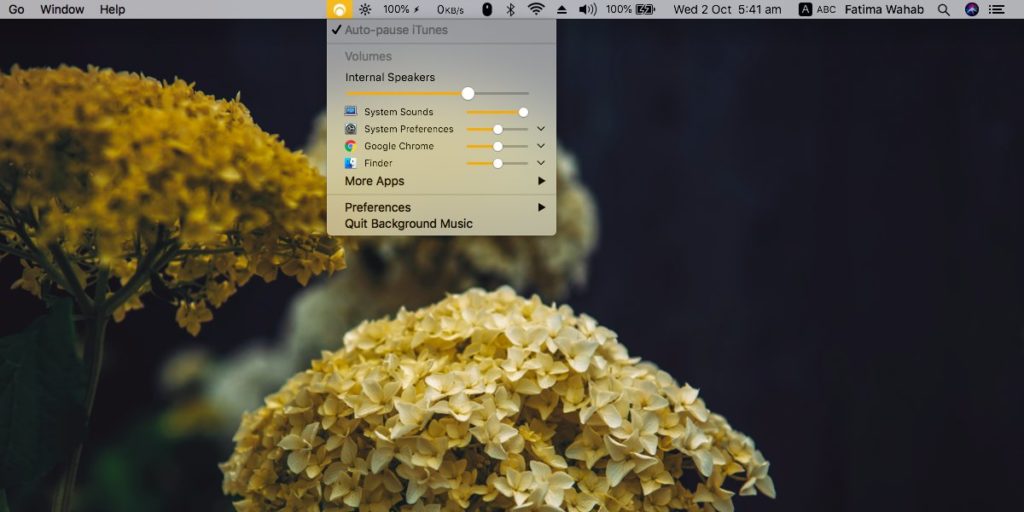How to mute an app on macOS
