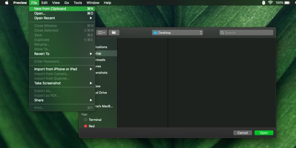 How to save a clipboard image on macOS