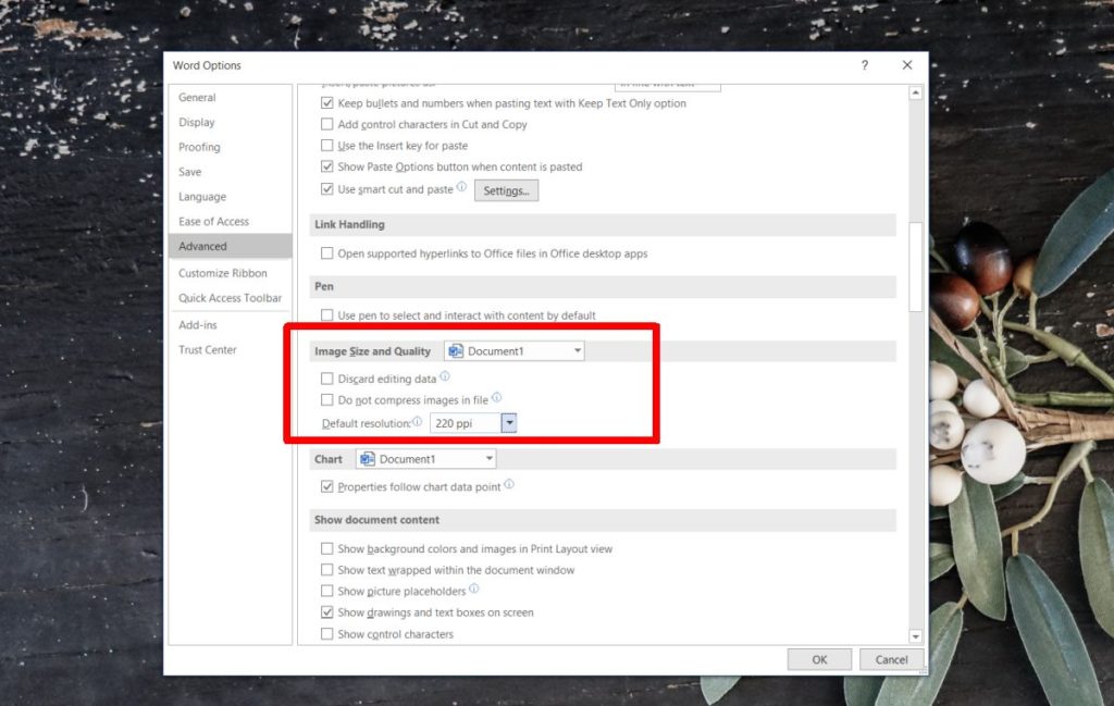 How To Disable Image Compression In Office 365