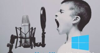 Mute microphone Windows 10
