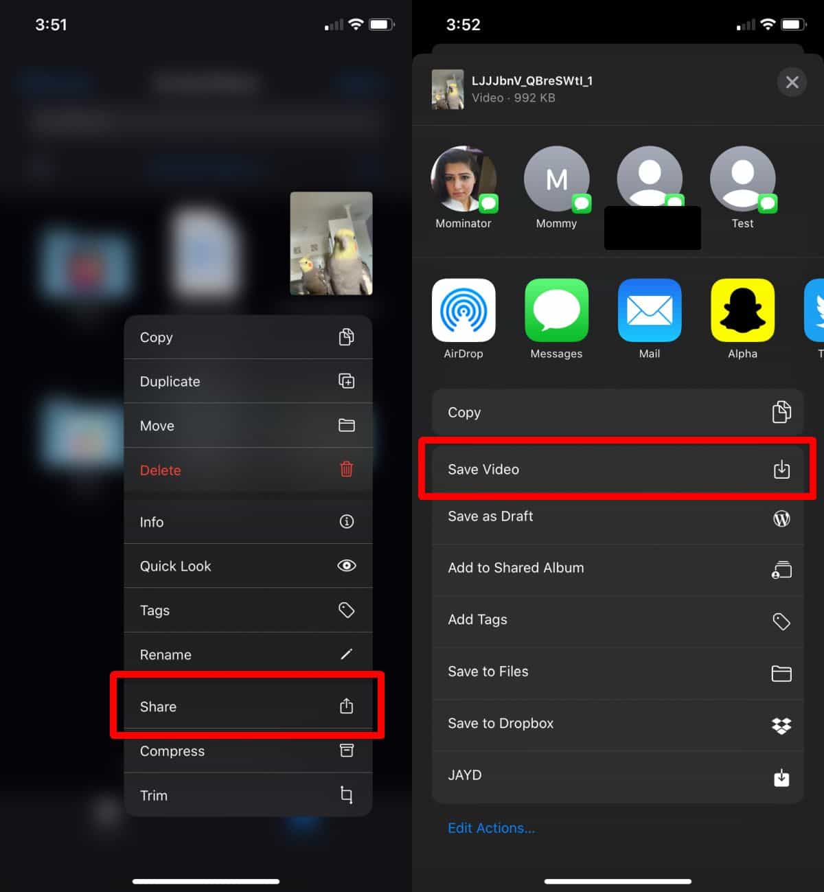 How to download  Video to iPhone