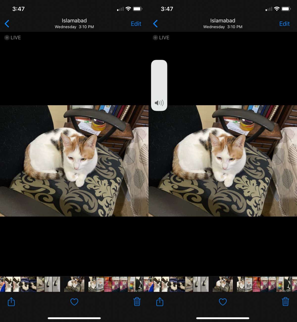 Do live pictures have sound?