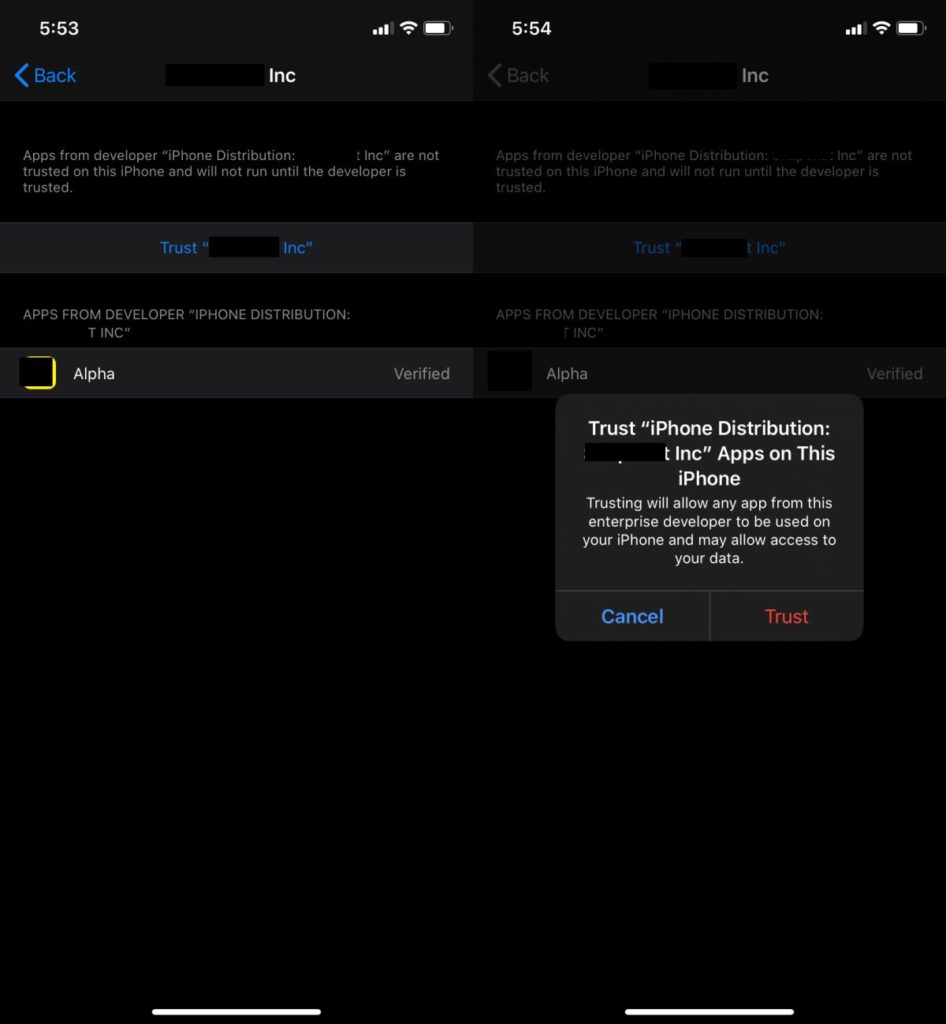 How to fix the untrusted developer error on ios