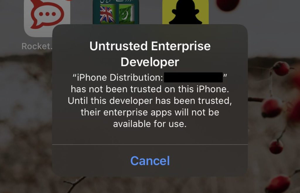 How to fix the untrusted developer error on ios