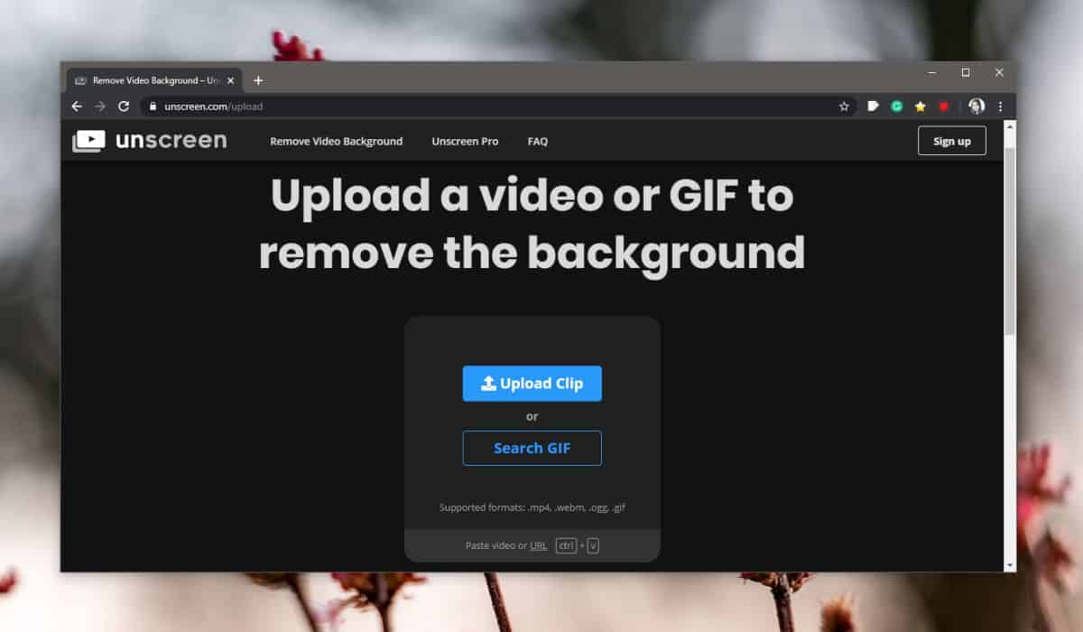 How do I remove a GIF background in HTML?