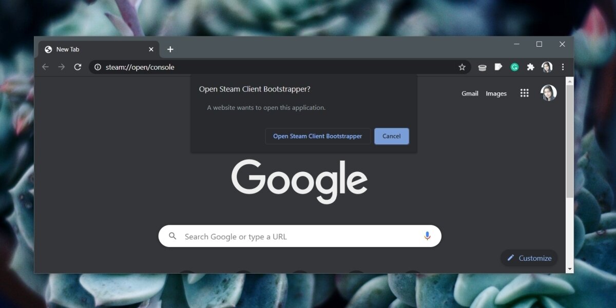 How to open the Steam console on Windows 10