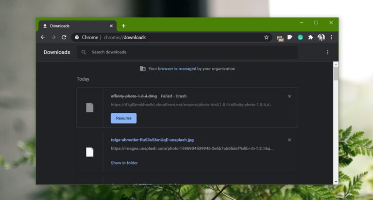 CRDOWNLOAD FILE EXPLAINED OPENING AND TROUBLESHOOTING TIPS visual data 2