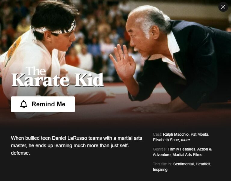 How to Watch Karate Kid Films on Netflix from Anywhere