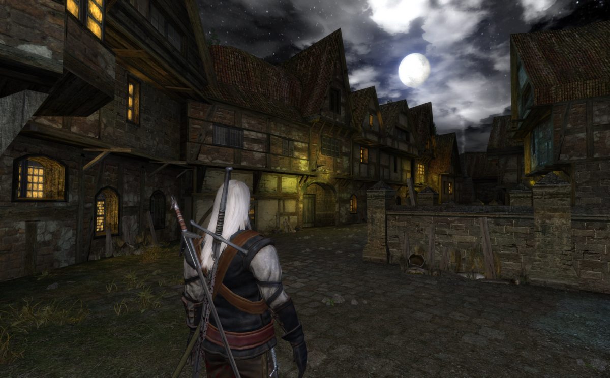 The witcher enhanced edition directors cut vetnasad