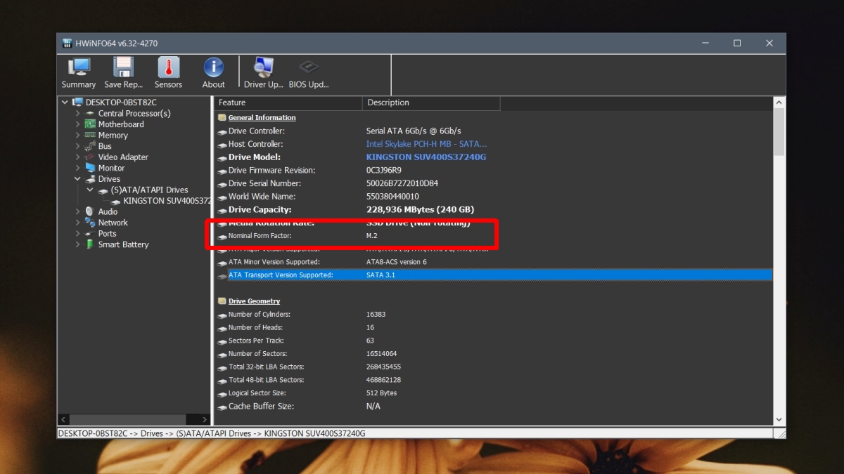how to check ssd slot in windows 10