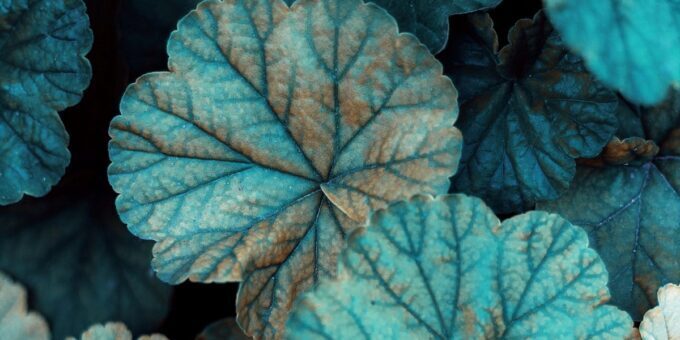 Taskbar icons flashing & flickering on Windows 10