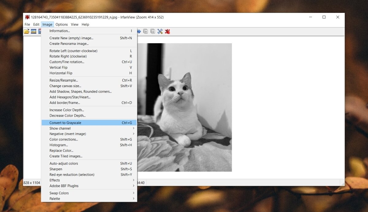 How to make a photo black and white on Windows 10