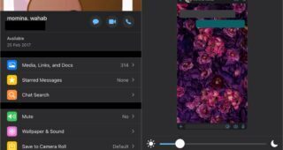 Whatsapp wallaper on iOS.