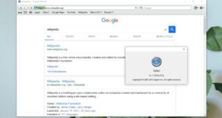 Safari for Windows