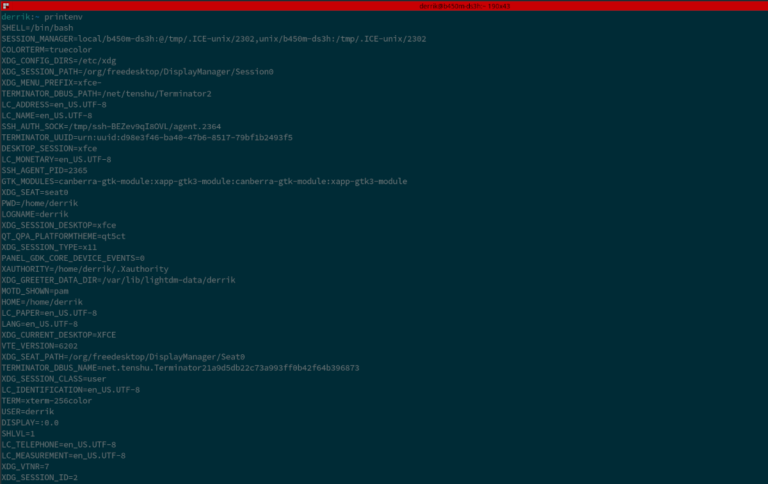 How to set linux environment variable