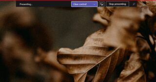 Microsoft Teams Give Control