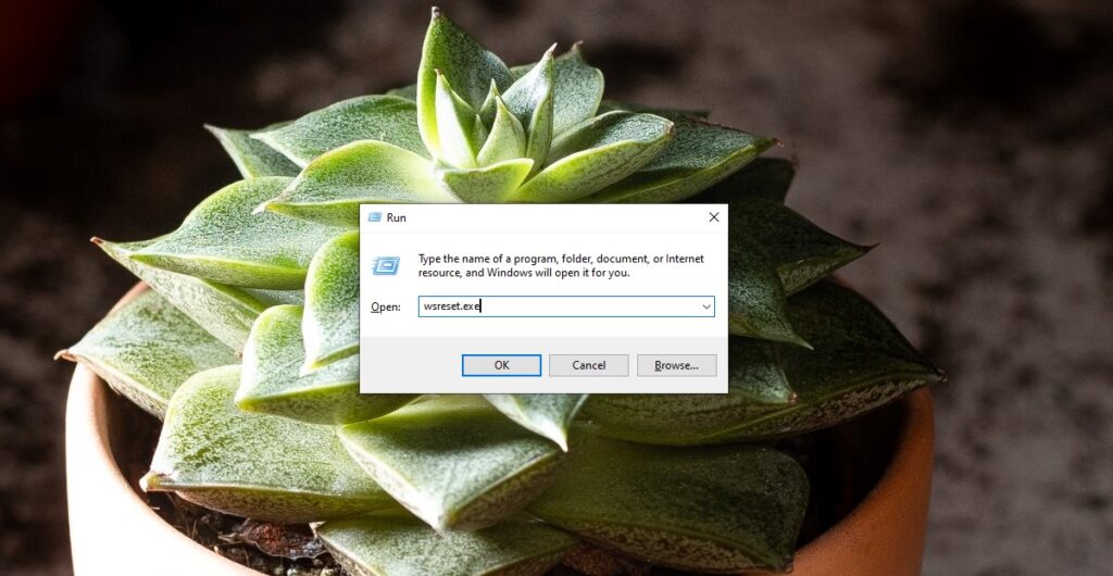 Windows 10 photos app missing here s how to reinstall photos app