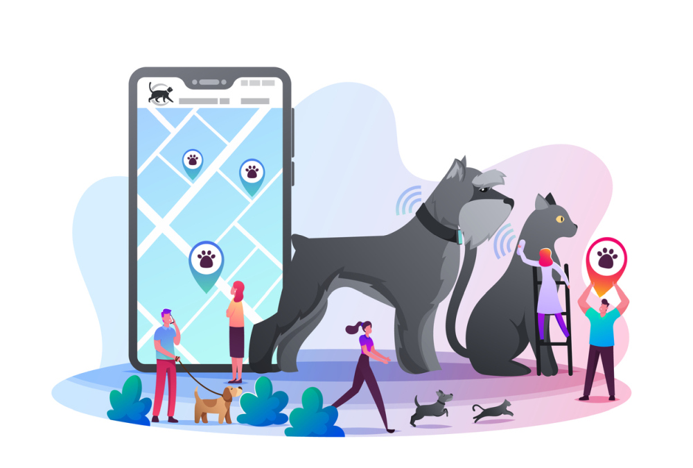 best ways help a easily distracted dog undistracted best ways help a easily distracted dog undistracted