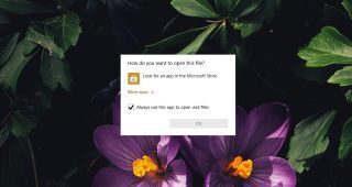 How do you want to open this file?