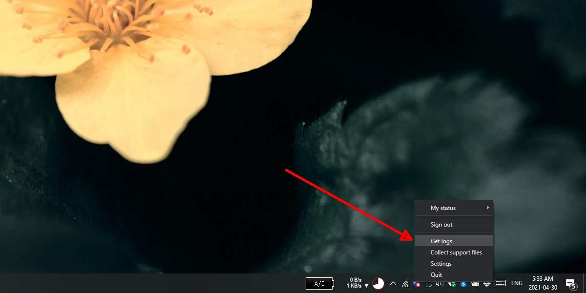 Microsoft log