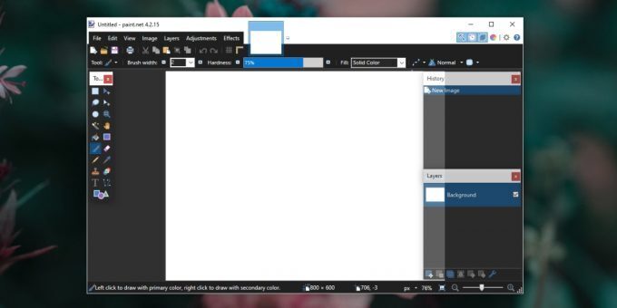 Paint.net