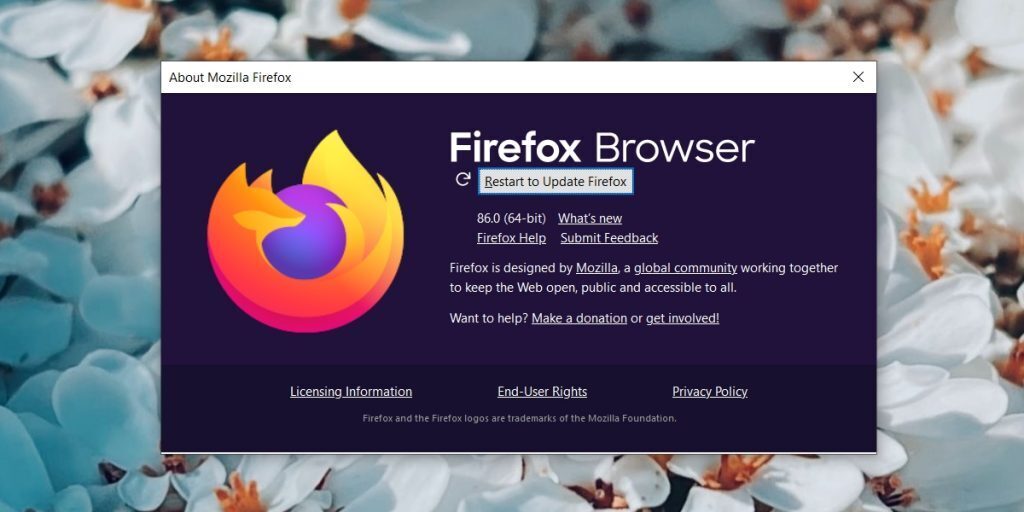 Facebook Videos Not Playing in Chrome, Firefox, Safari (SOLVED)