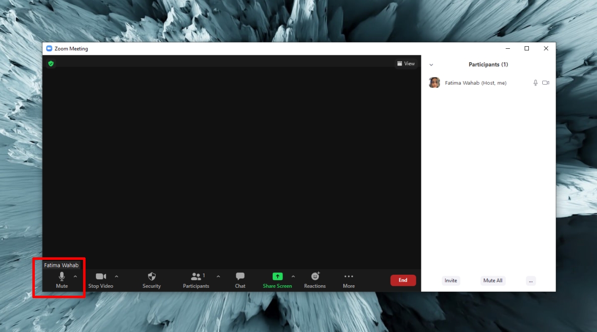 How to Mute Zoom meeting participants, audio, and mic