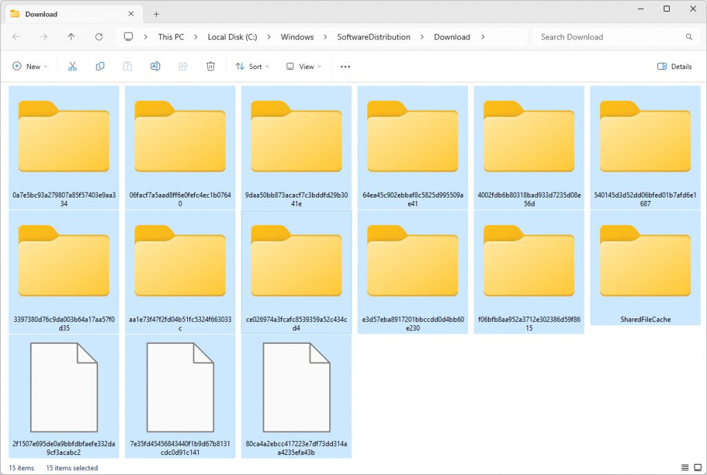 The SoftwareDistribution folder's Download subfolder in Windows 11 File Explorer