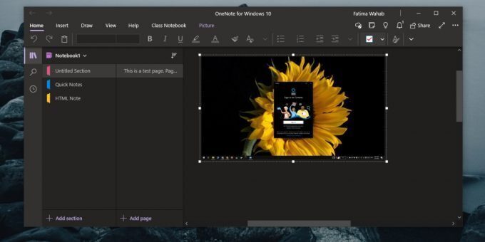 common OneNote problems
