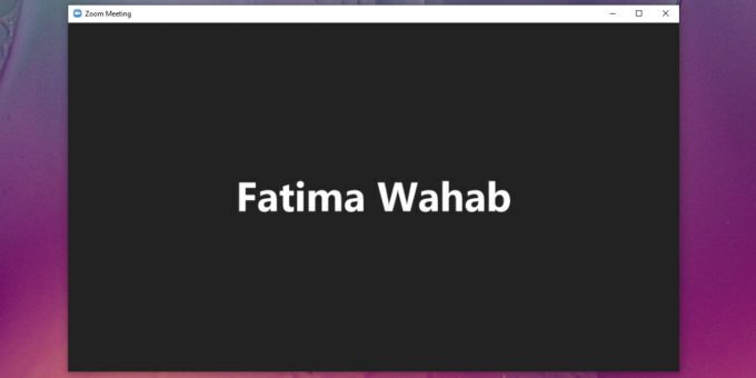 show picture in Zoom meeting