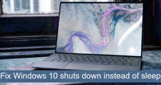 fix Windows 10 shuts down instead of sleep