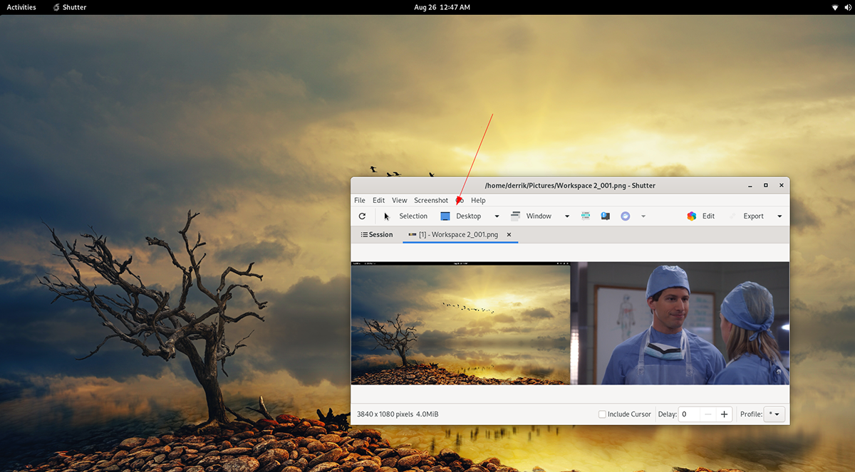How to use the Shutter screenshot app on Linux