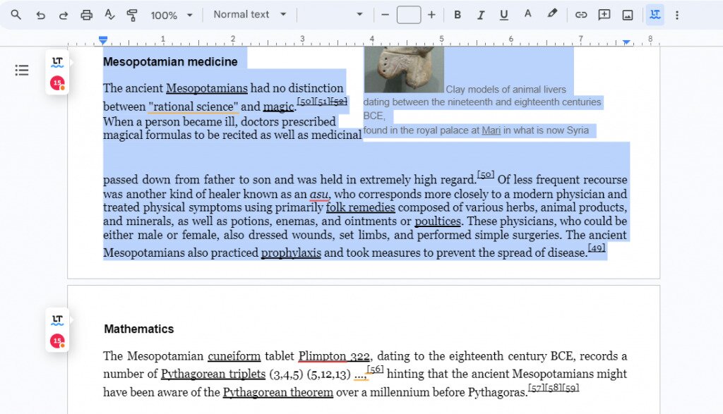 Text highlighted in a Google Docs page
