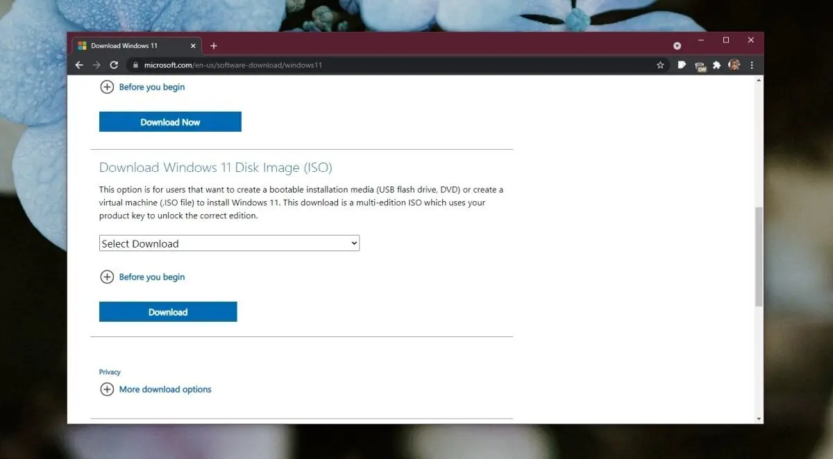 Windows 11 Disk Image