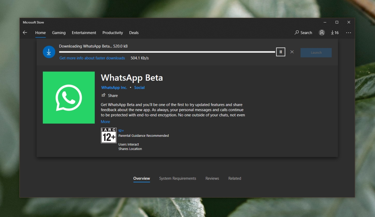 install Whatsapp for Windows 10 - Scarica Whatsapp per Windows 10/11