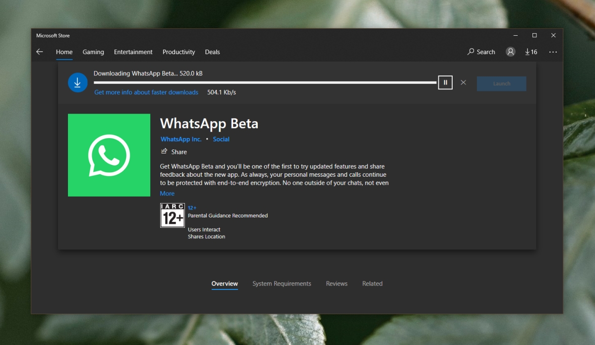 Télécharger Whatsapp Pour Windows 1011