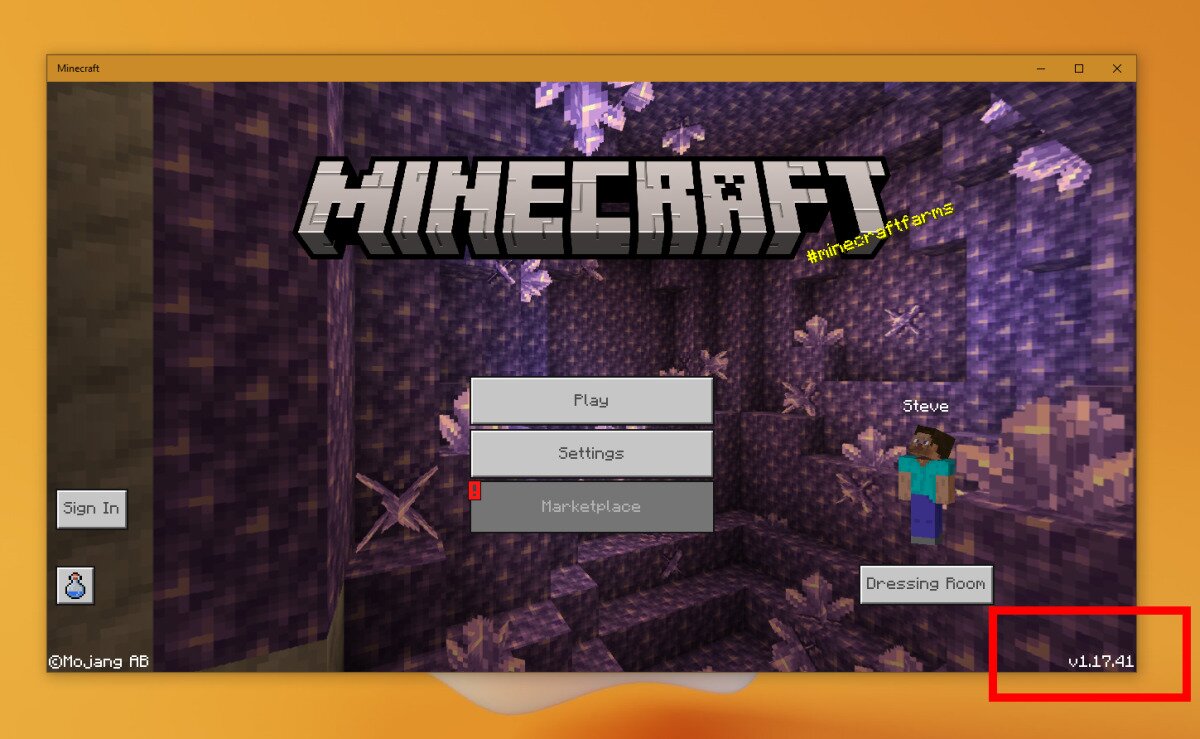 How to find the minecraft version