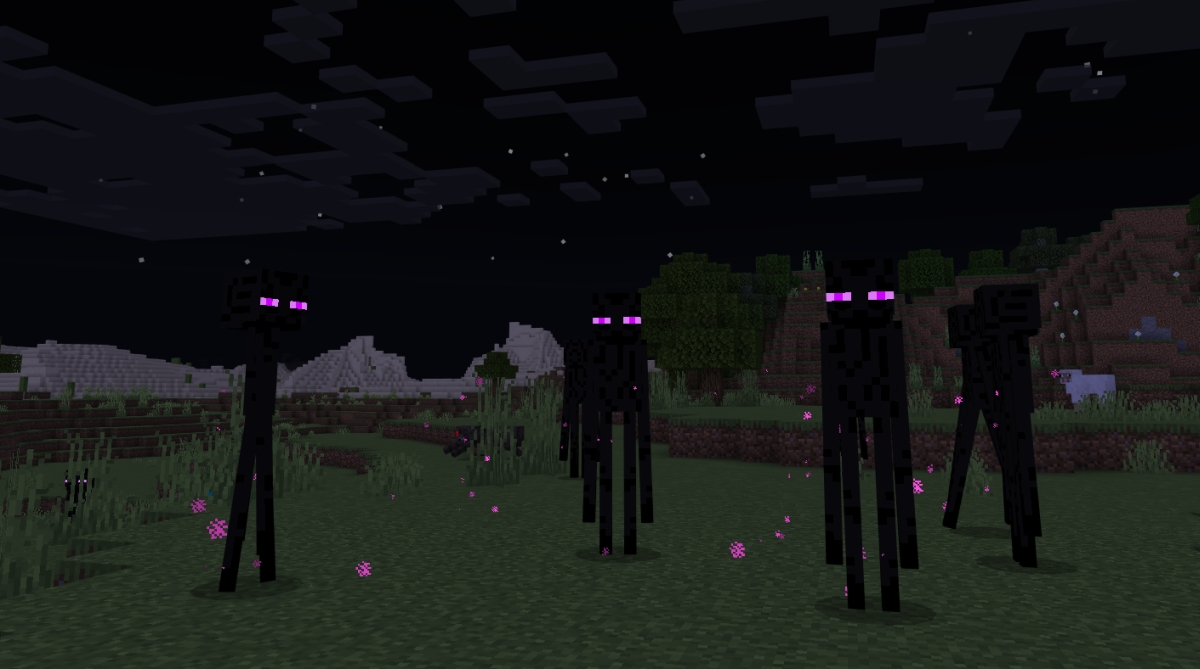 You can find them in the nether, the overworld, and the End. 