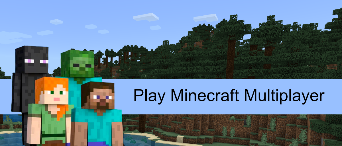 gioca a Minecraft Multiplayer