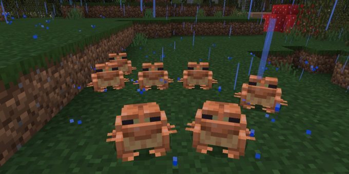 Minecraft Frogs