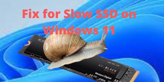 Fix-for-Slow-SSD-on-Windows-11