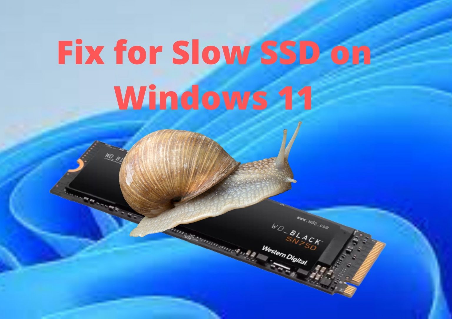 Fix for Slow SSD on Windows 11