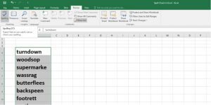 How to spell check in Excel using a shortcut key
